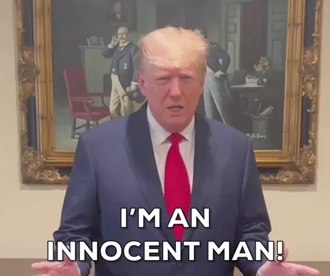 Im Innocent Donald Trump GIF