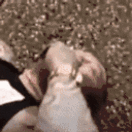 館長 Power30678 GIF