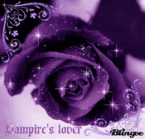 GIF violeta