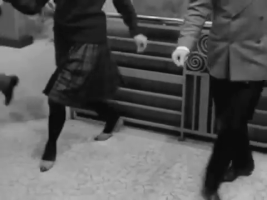 anaarnt  GIF