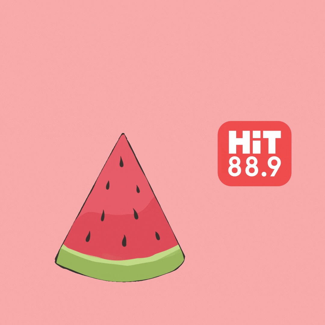 hit889 GIF