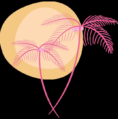 Palm Trees Beach GIF by pinknproper