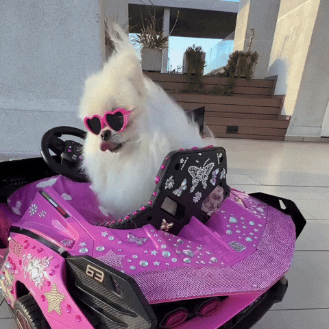 Mood GIF