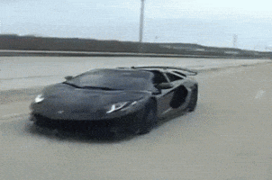 Seth Svj GIF by The Exotics Network