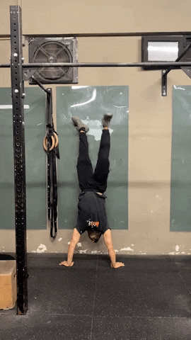 Negative Handstand Push Up GIF by Crossfit Boran