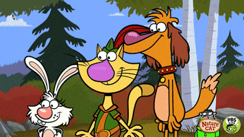 200.gif?cid=fc005b0821cfc4db4db7dac9575ee10e54eafe0ad166bc3c&rid=200.gif&ct=g