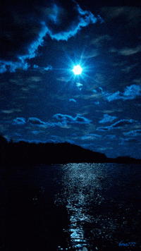 Featured image of post Dark Blue Aesthetic Gif