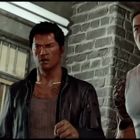 Sleepingdogs GIF