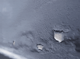 Wall GIF