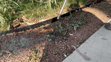 Garden Torch GIF