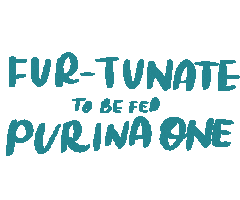 Purina Singapore Sticker