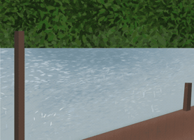 Pepe GIF by Peezy on Base