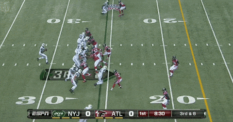 falcons