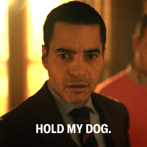 Dog GIF by ABC Network