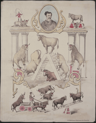 bulls toros GIF by Biblioteca Nacional de España