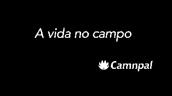 camnpal GIF