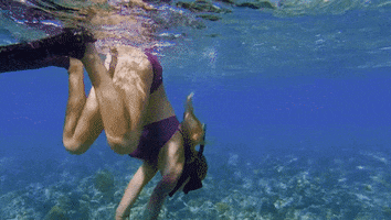 Under Water Swimming GIF by Survivor CBS