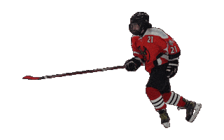 Diavolisesto Sticker by Senago Baseball