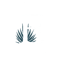 Brand Sticker by Santomar