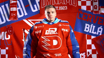 Will GIF by HC Dynamo Pardubice