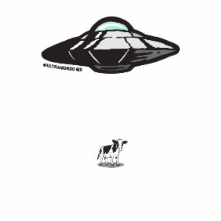 GIF by PKGD Group