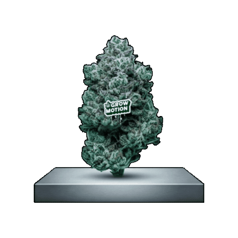 Grow Plant Growth Sticker by EliteGrower