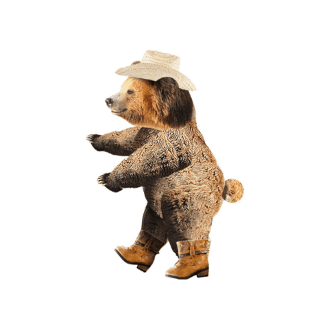 Sticker by Birch Benders