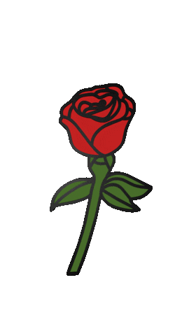 Drake Rose Sticker