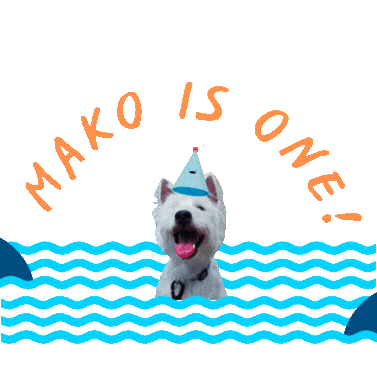 Makocharyu Sticker