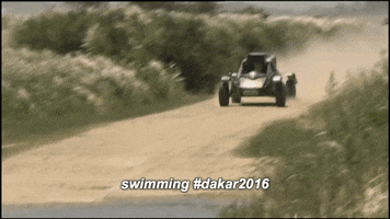 dakar rally swimming GIF by Tim Coronel