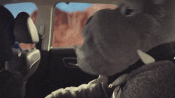 Frustrated March Madness GIF by Nissan USA