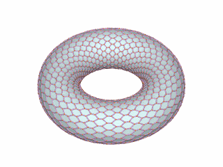 tor