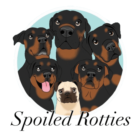 Rescue Dog Sticker by MeganWargula