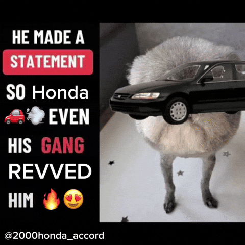Honda Accord GIF