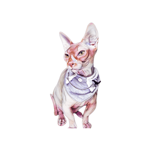 Unotheunano Sticker by Bellucci Manila