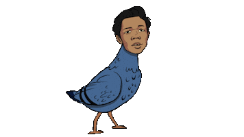 Pigeon Sticker