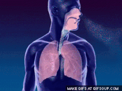breathing