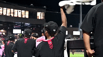 fayettevillewoodpeckers happy excited baseball rally GIF