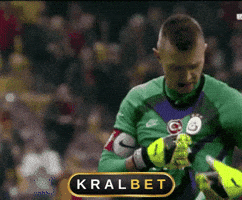 Muslera Galatasaray GIF by K R A L B   E  T