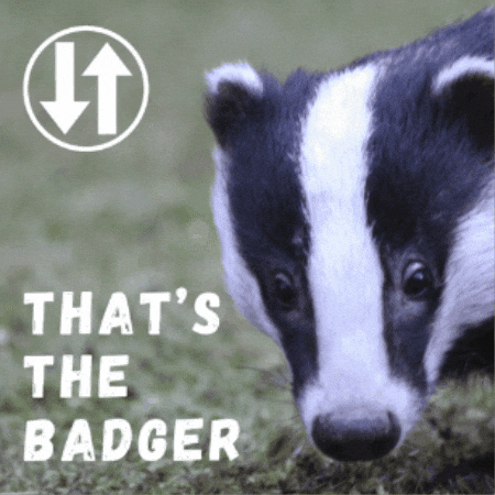 Badger GIF by Warwickshire Arts