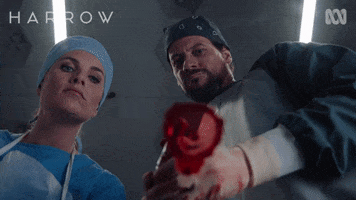 Abc Tv Blood GIF by ABC TV + IVIEW