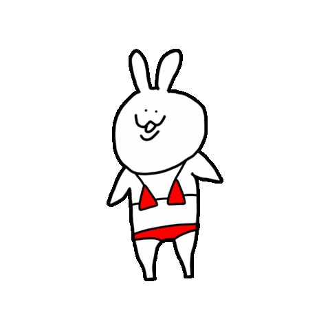 Japan Rabbit Sticker