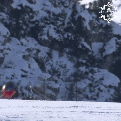 Olympic Games Sport GIF by NBC Olympics