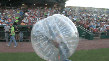 baseball fans GIF by Kane County Cougars