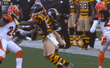 cincinnati bengals