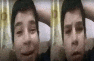 Wtf GIF
