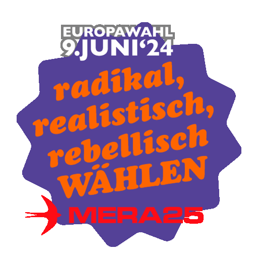 MERA25 Sticker