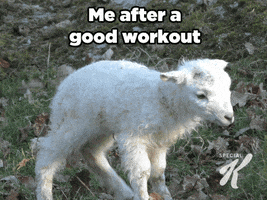 exhausted worn out GIF by Special K