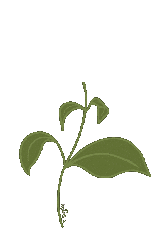 Spring Flower Sticker