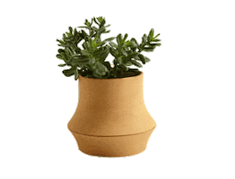 Dzynzone Aksesuar Sticker by Dzynzone